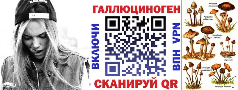 Псилоцибиновые грибы Cubensis Прохладный