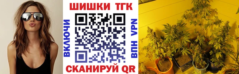 Шишки марихуана марихуана  Прохладный 
